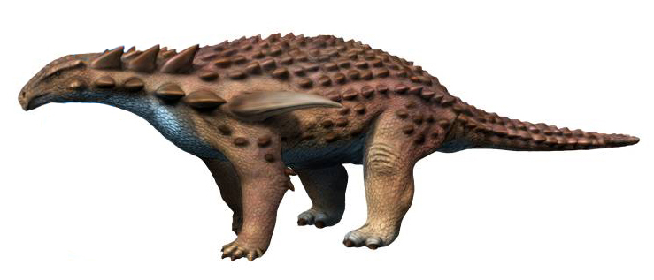 Reconstitution 3D Borealopelta